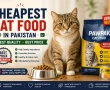Affordable cat food in Pakistan