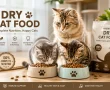 Cats eating dry cat food