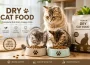 Cats eating dry cat food