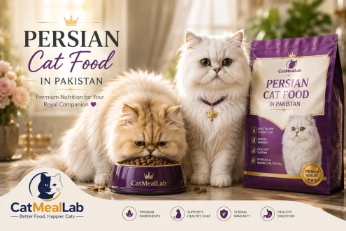 Persian cat food in Pakistan for healthy coat and balanced nutrition