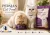 Persian cat food in Pakistan for healthy coat and balanced nutrition