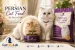 Persian cat food in Pakistan for healthy coat and balanced nutrition